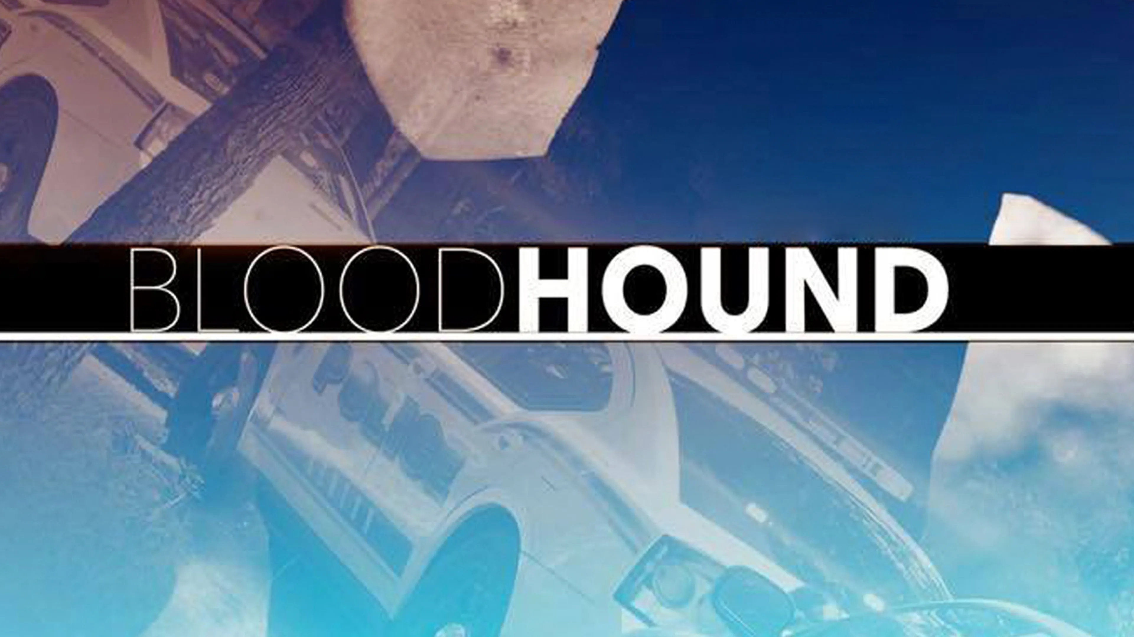 Bloodhound poster